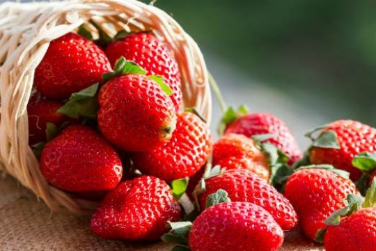 Cercetare: Căpșunile sunt ideale în lupta împotriva cancerului
