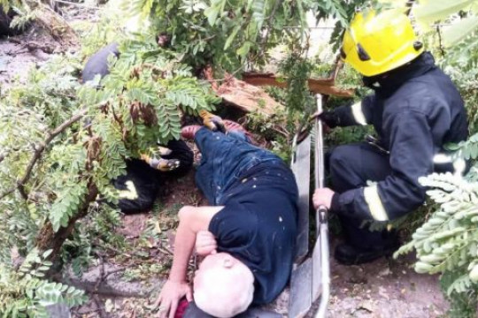 Consecințele vântului: Pompierii au salvat un bărbat blocat sub un arbore căzut