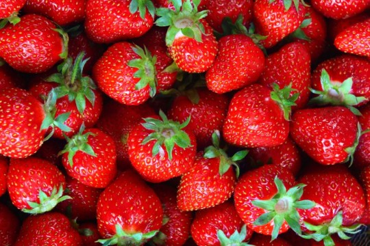 Un internaut din capitală atenționează: Căpșunile de la producătorii autohtoni au o doză dublă de nitrați