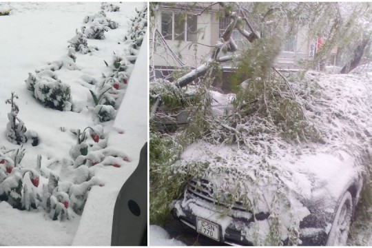 FOTO: Vezi cum arată Chișinăul în urma ninsorilor abundente de astăzi