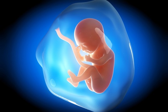 Medic obstetrician-ginecolog despre lichidul amniotic: ce rol are și ce este anormal