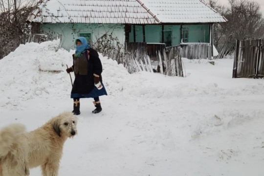 Un sat din Moldova a rămas numai cu 6 oameni și riscă să dispară