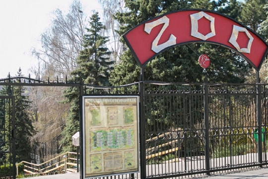 De 1 iunie, intrarea la Grădina Zoologică pentru copiii până la 16 ani va fi gratuită