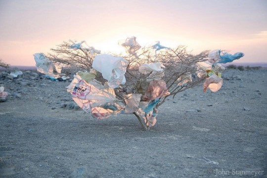 Fotografia zilei: Îngropați în plastic